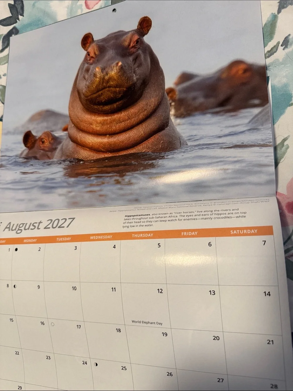 16 month Calendar.  2027
